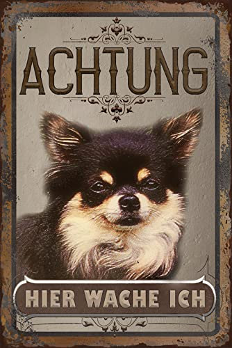 30 x 20 cm wetterfestes Blechschild, Warnhinweis, Torschild, Achtung, hier Wache ich! Warnung vor dem Hund (Chihuahua)