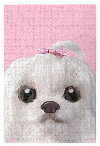 Lovely Maltese Dog Printed Wooden Jigsaw Puzzle, 1000 Pieces 29.5x19.7in, Suitable For Teenagers, Adults Or Children.