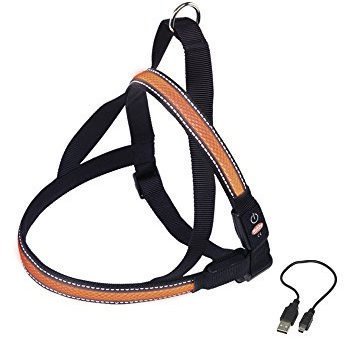 Nobby Norwegergeschirr Flash MESH, orange S: L: 50-65 cm + 48 cm, B: 25 mm, 1 Stück