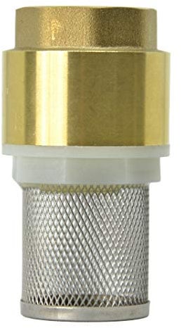 Valve à pied/filtre d'aspiration avec clapet anti-retour intégré avec filetage intérieur (1).