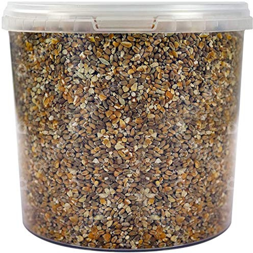 SQUAWK Mixed Poultry Corn | Premium Quality Natural Seed Feed Mixture | Rich in Vitamins and Calcium | Chicken Duck Geese Food | Helps Develop Strong Beaks, Tough Bones & Healthy Feathers (1L Tub)