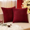 EMEMA Kissenbezug 45x45 cm Kordsamt Kissenbezüge Dekokissen Sofakissen Cord Kissenhülle Zierkissenbezug Kord Dekorative Weiche für Sofa Wohnzimmer Schlafzimmer 2er Set WeinRot