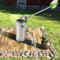 Bomba de mano de acero inoxidable, bomba de mano, bomba de agua, bomba de succión manual para jardín, 10 m/32,8 pies, fuente de hierro fundido manual