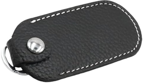 EVAYangSG USB Stick Case Includes Keyring Usb Case Lightweight Protective for Business or Personal Use