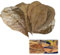 10 Pack Indian Almond Leaves for Betta Fish Tank Water Treatment, Catappa Leaves Reduce Stress shrimp aquarium care Lower pH for Aquarium Fish Tank Use