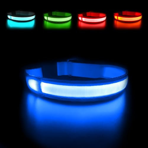 MASBRILL Leuchthalsband Hund, Hundehalsband Leuchtend Aufladbar USB-C, LED Halsband für Hunde Einstellbare Wasserdicht, Halsband Hund Leuchtend 3 Lichtmodi für Kleine Mittlere Große Hunde(Blau L)