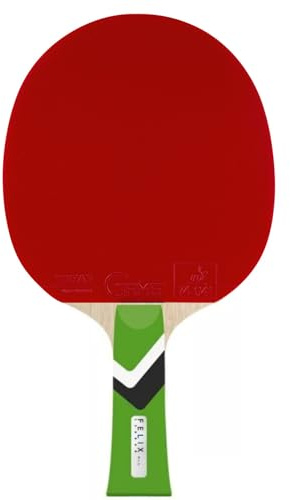 Tibhar Felix LEBRUN Tischtennisschläger