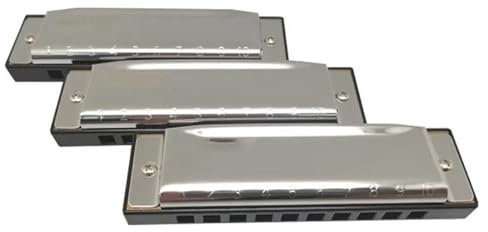 Professional Mundharmonika 3er-Set Diatonische Mundharmonikas, 10 Löcher, 20 Töne, Blues-Mundharmonikas Für Erwachsene, Anfänger Und Profis(A E G)