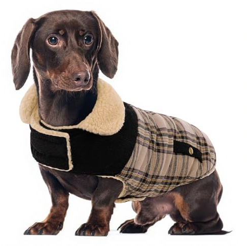 Wintermantel für mittelgroße Hunde, karierte Hundejacke, Haustiermantel für kaltes Wetter, winddichte warme Kleidung, verdickte Haustier-Outfits für drinnen und draußen, Beige, M