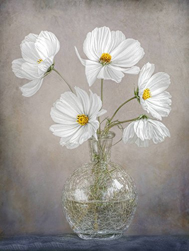 Kunstdruck/Poster: Mandy Disher Einfach Kosmos - hochwertiger Druck, Bild, Kunstposter, 40x55 cm