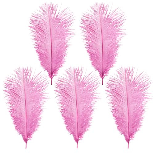 WedDecor 35cm Baby Pink Ostrich Feathers for Wedding Decoration – Real Feather Supplies for Crafts, DIY Headdresses, Dressmaking, Table Centrepieces & Fashion Accessories, 5pcs | Craft Feathers for Wedding Centerpieces, Home, Decorating Costumes, Embellishment, Art & Craft, Parties