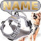 ne&no® Hundegeschirr PERSONALISIERT mit passenden Ruckdämpfer [Developed by NE&NO] Hunde Geschirrset | Brustgeschirr für kleine und große Hunde | Geschirr Hund | (XL)