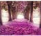decomonkey Fototapete Wald Blumen 350x256 cm XXL Tapete Wandbild Bild Fototapeten Tapeten Wandtapete Wandtapeten Natur Landschaft rosa