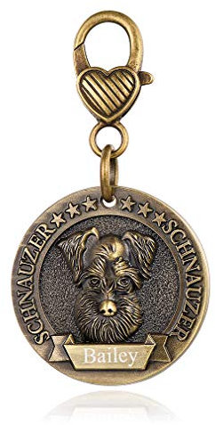 Custom4U Placa de Identidad para Perros Etiquetas Redondas Zinc 3D Relieve Dog Tag Personalizado con Nombres Grabados para Schnauzer