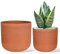 Thirtypot 15 + 12 CM Terrakotta Sukkulenten Pflanztöpfe, Runde Tontöpfe mit Drainage für Zimmerpflanzen, 2er Set