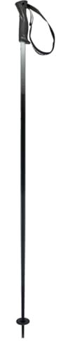 HEAD Unisex-Adult Frontside Black Grey Skistöcke, Schwarz/Grau, 120