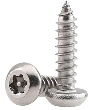 RKODRSMG 10/20/pcs M2.9 M3.5 M3.9 M4.2 M4.8 304 Broche en Acier Inoxydable Six lobes Torx Pan tête Ronde antivol sécurité vis à Bois autotaraudeuse(25mm,M4.8 10pcs)