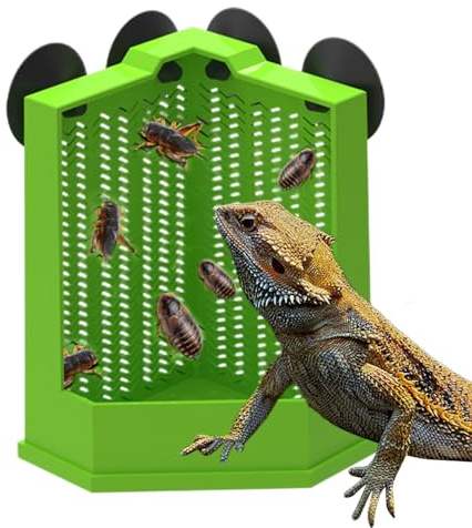 Generico para alimentos para reptiles, alimentador para cangrejos ermitaños con para geckos, alimentación antifuga | para propietarios y criadores de