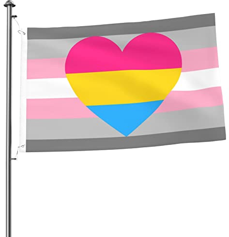 Yard Flaggen Demigirl Pansexuell Demi Girl Pan Pride Außenbanner Dekor Garten Fahnen Uv-Beständig Hanging Flag Für Veranda Karneval Carnaval 90X150 CM
