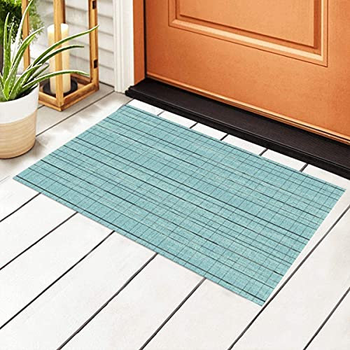 FFLSDR Doormat Duck Egg Blue Linen Welcome Mats Entrance PVC Floor Mats with Non-Slip Backing Floor Mats 40X60cm