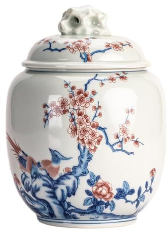 KUKUUU Recipientes de almacenamiento sellados de porcelana, Organizador Infusiones, Café y Té