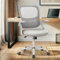 DUMOS Chaise de Bureau Ergonomique avec Support Lombaire - Accoudoirs réglables - Chaise de Bureau pivotante - Hauteur réglable - Convient pour Le Bureau et la Chambre à Coucher - Gris