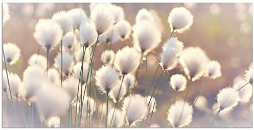 ARTland Wandbild Alu Verbundplatte für Innen & Outdoor Bild 100 x 50 cm Natur Zauber Idyll Frühling Moor Pflanzen Gräser Blumen Wollgras T2BZ