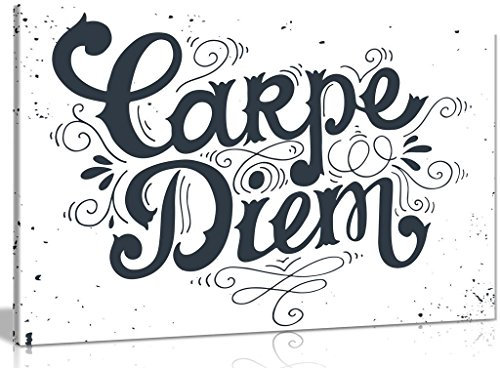 Panther Print Lienzo decorativo con cita de Carpe Diem (45,7 x 30,5 cm)