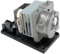 codalux lampada proiettore per OPTOMA SP.72701GC01, BL-FU260B venduta da e compatibile con PHILIPS lampada con alloggiamento