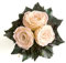 Infinity Rosenbox rund 3 echte Champagner Rosen in Vase aus Zimtstangen Lange haltbar 3 Jahre