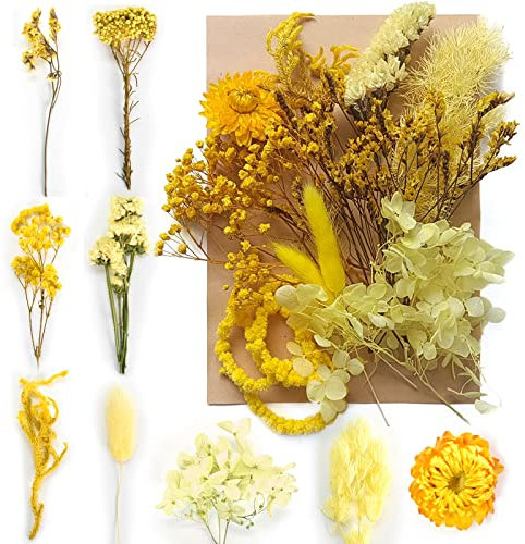 Disnace Natürliche Getrocknete Blumen, Blumen Natürliche Gemischte, DIY Natürliche Trockenblumen Set für Kunst Basteln DIY Epoxidharz Formen, Scrapbook Zubehör Karten Machen, gelb+blau