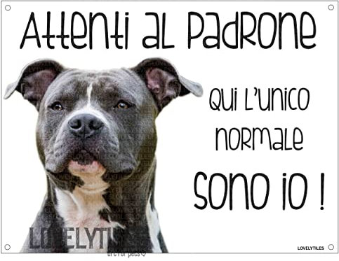 AMSTAFF Attenti al padrone qui l'unico normale sono io! CANE CARTELLO TARGA IN METALLO (15X20)