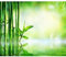 murando Fototapete selbstklebend Spa 245x175cm Foto Tapete Tapetenfolie Möbelfolie Wandverkleidung Wandtapete Motivtapeten Bildtapete Wohnzimmer 3d Effekt Modern Bambus Natur grün b-B-0164-a-a