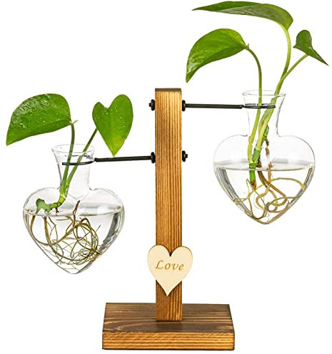 Terrarium en Verre avec Support en Bois, Vase en Coeur pour Bureau, Vase Hydroponique Vintage Transparent, Décor Bureau À Domicile, Cadeaux La Saint-Valentin