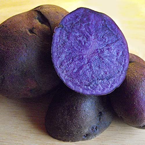 Haloppe Confezione da 100 semi di patate per piantare il giardino domestico, semi di patate gustosi, vivaci, saporiti, semi di piante per corridoio Viola