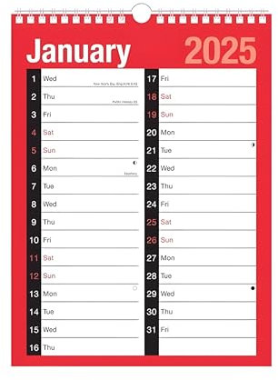 ZYBUX - Kalender für 2024, Planer & Terminplaner, Wandplaner, Feiertage und wichtige Termine, Wandplaner, Spiralbindung für Zuhause, Geschäft, Büro, Schule (Großer Druckkalender)
