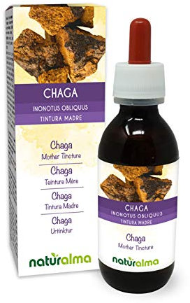 Chaga (Inonotus obliquus) fungo Tintura Madre analcoolica Naturalma - Estratto liquido gocce 120 ml - Integratore alimentare - Vegano