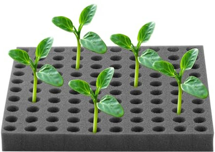 yybng Anzucht Schwämme | Keimlingsschwämme für Hydroponik | Anzucht Keimhilfe Für Salat Tomaten Im Klassenraum Bildung Landwirtschaft Innen Außen