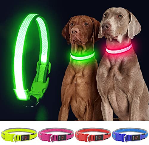 YFbrite Light up Dog Collar, Rechargeable LED Dog Collar, Flashing Dog Collar, Adjustable Reflective Dog Collar Safety Glowing at night (Green, Medium)
