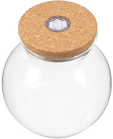 jojofuny Vaso di vetro Terrarium Vaso di vetro bottiglia ecologica Favorisce vaso con coperchio in sughero e pianta di luce a LED Terrarium per piante grasse Fern Moss Air Plants Schermo
