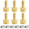 Bwintech 6 Pezzi Raccordi Portagomma, 1/2 BSP Maschio x 12 MM Connettore Portagomma con 12 Morsetti