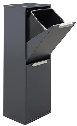 Arregui Ecoclas CR204-E Poubelle de recyclage en acier à 2 compartiments 2 x 17 l (34 L) Anthracite