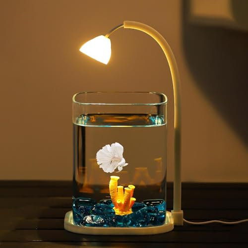Verre Minis Aquarium De Bureau avec LED Veilleuse, Terrarium, Conteneur pour Petits Animaux, Combattant Crevette Poisson Rouge, Décor pour Bureau et Chambre