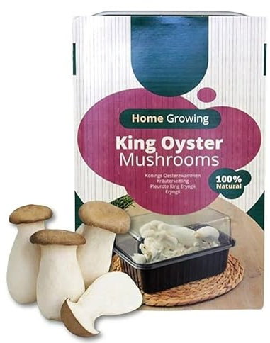 Carbeth Plants Mushroom Growing Kit King Oyster