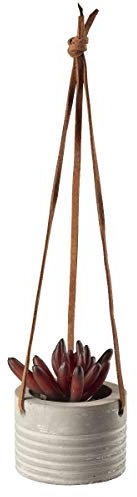 Hängesukkulente I, rot D. 7 cm, imgrauen Betontopf