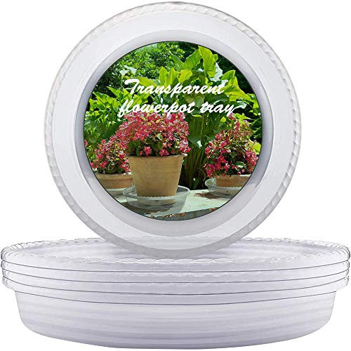 LIKOSO Soucoupe Pot Fleur 21CM Transparentes en Plastique Pots de Fleurs Lot de 10 Soucoupes - pour Plantes d'intérieur et d'extérieur