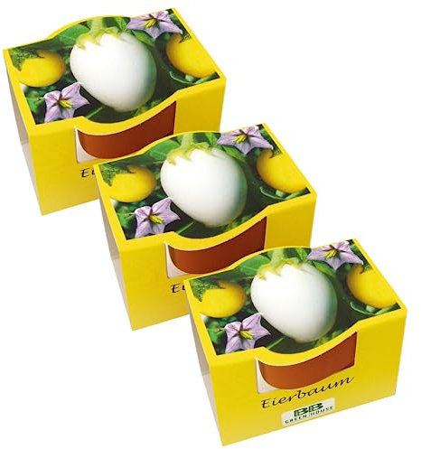 Bull & Bear 3er Set Mini Pflanzset Eierbaum, Samen für Eierbaum im Topf 4,5cm, Eierbaum Anzuchtset mit Pflegeanleitung