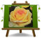Rosen Edel Groß Blumen 12-14 CM - Hybrid Über Thea Golden Tower - Vase : 19x19 CM 6 Liter - Höhe 120-150 CM -età 3 Jahre