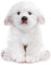 PuffPurrs Winzige Herz-Simulations-Malteser-Hund-Plüschtiere, realistische Malteser-Hund Stofftiere, weiche und niedliche Hunde-Plüschtiere, 10 Zoll, Geburtstagsgeschenke für Kinder, Wohnkultur