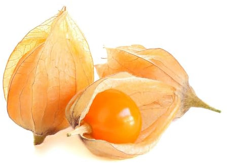150 pcs physalis pflanze winterhart samen obstbaum,Andenbeere, obstbäume kaufen hochbeet balkon exotische früchte bäume garten winterhart obst samen exotische